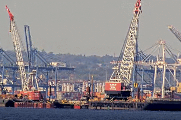 Tariffs cause some China imports to crash 44% in September