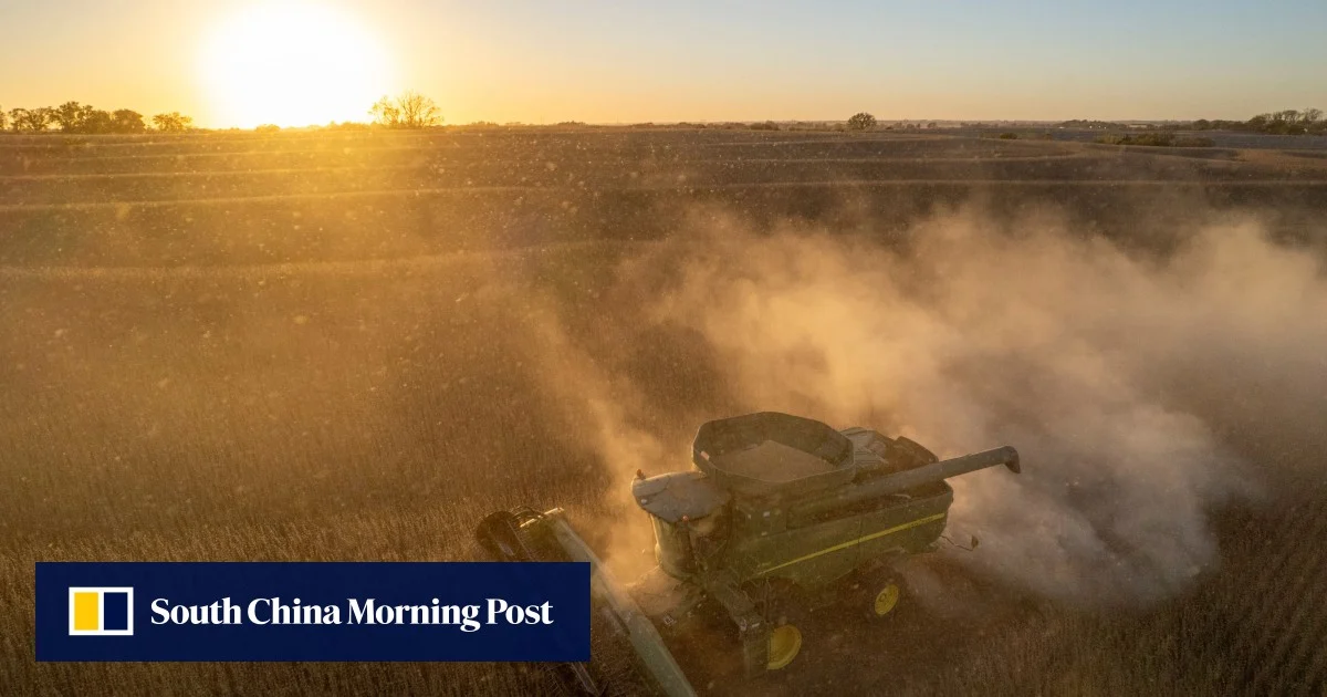 Relief – and caution – as China resumes US soybean purchases