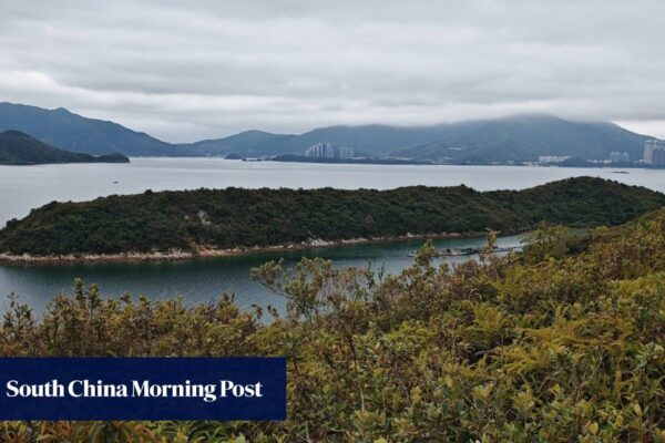 Man drowns after jumping off unstable boat during Hong Kong fishing trip