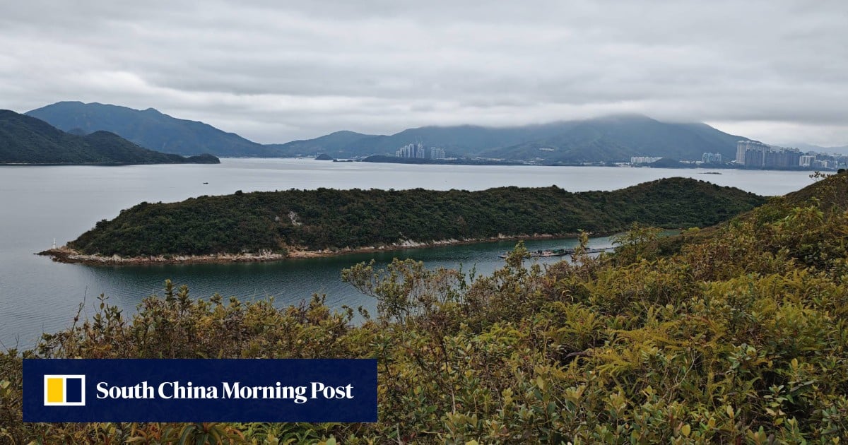 Man drowns after jumping off unstable boat during Hong Kong fishing trip