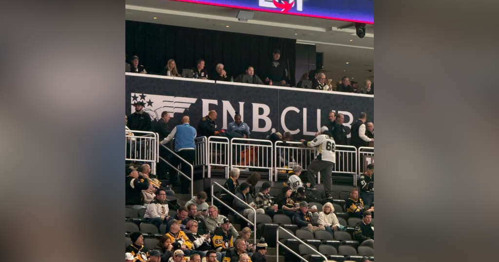 Fan falls from stands at Pittsburgh's PPG Paints Arena during Penguins-Blues game