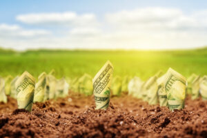 The Smartest Dividend Stocks to Buy With $3,000 Right Now Courtney Carlsen