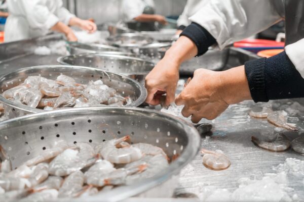 The Market Current: Ecuador shrimp prices to China in focus