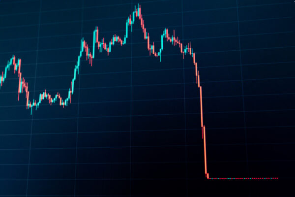 Crypto stock emerges as rare winner amid market crash