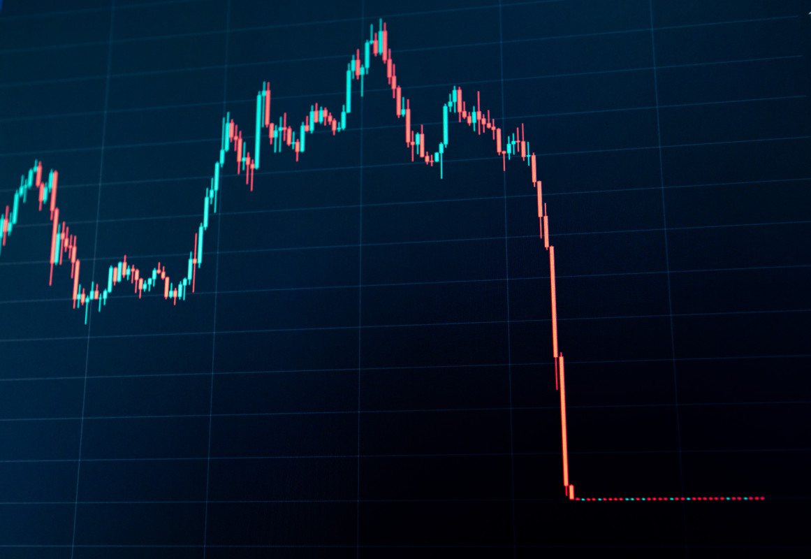 Crypto stock emerges as rare winner amid market crash