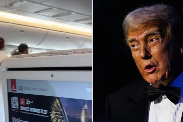 Viral TikTok shows panic aboard plane after Trump announces $100K H1-B visa fee — how it could end up costing the US