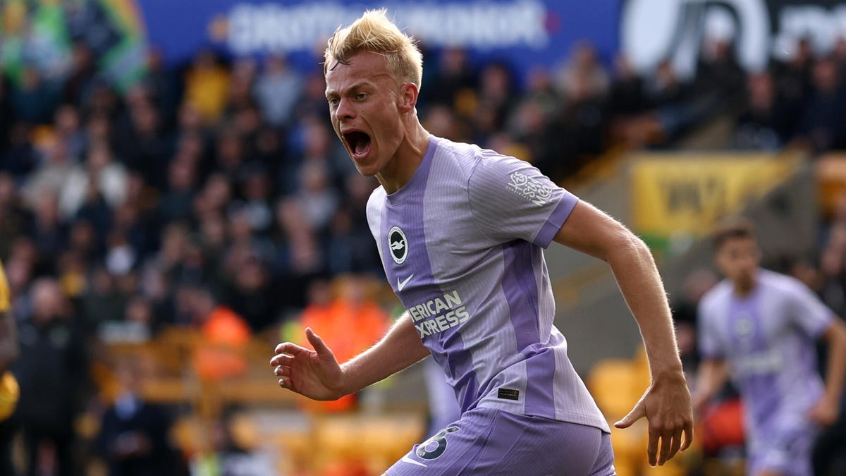 Premier League Soccer: Livestream Brighton vs. Newcastle From Anywhere