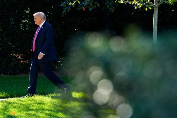 Donald Trump is not on the ballot, but he’s a major factor in the November elections