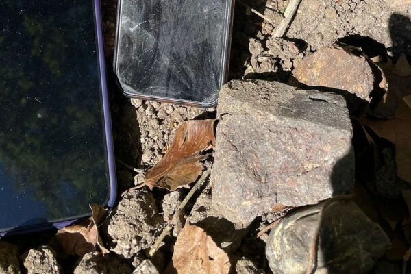 London's phones thieves are burying stolen devices in flowerbeds