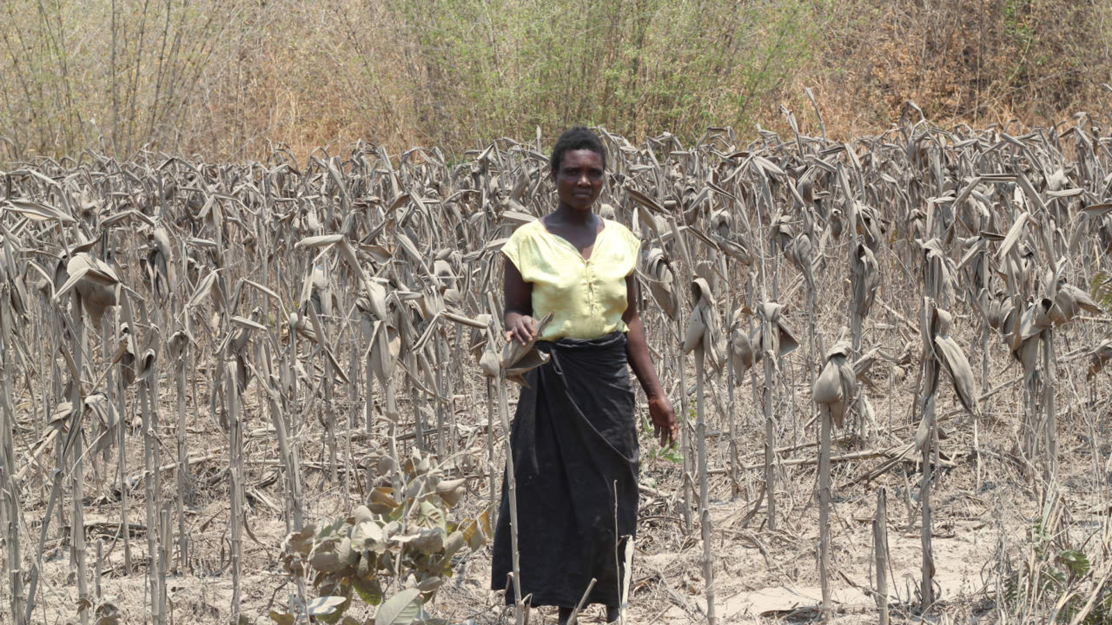 China Pushes to Silence Victims of African Mining Disaster