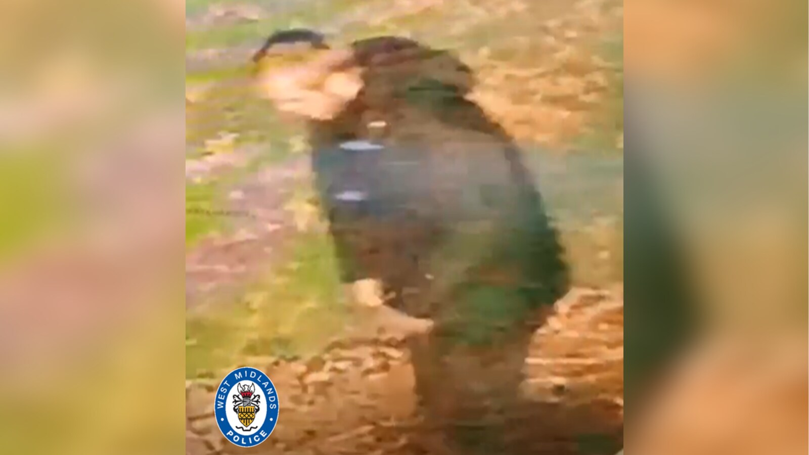'Indian-origin' woman raped in UK's Walsall, police say ‘racially aggravated attack’ | What we know