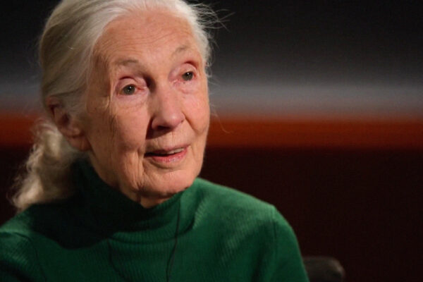 Jane Goodall Recorded a Message About Elon Musk Before Her Death, and Now It's Been Released