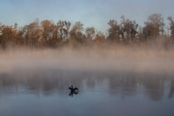 Situated On The Florida-Georgia Line With World-Class Fishing And Boating Is A Freshwater Paradise