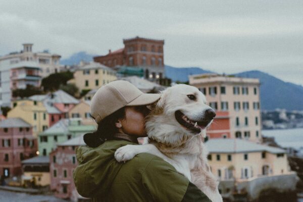 South Tyrol’s new rules — idealista/news