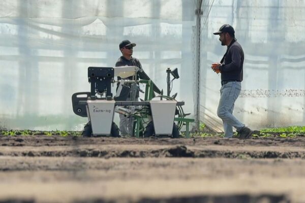 Farmers look to robots for field work as immigration raids upend labor Farmers look to robots for field work as immigration raids upend labor