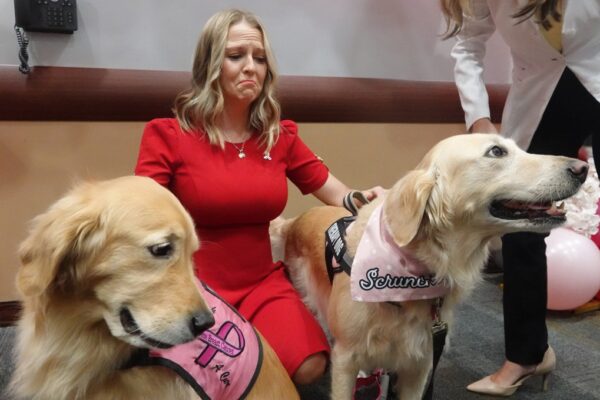 Therapy dog awakens woman from coma at Pembroke Pines hospital Therapy dog awakens woman from coma at Pembroke Pines hospital