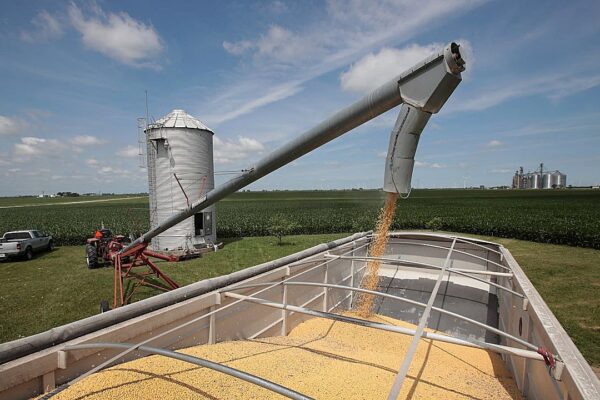 Trump accuses China of 'economically hostile' soybean cuts, threatens trade