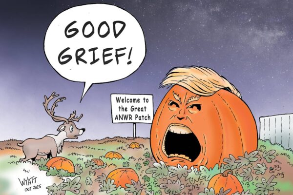 Wyatt’s World - Yukon News