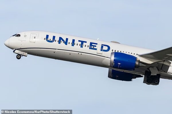 A United Airlines stewardess was 10 times the legal limit to fly after downing vodka on a transatlantic jet, a court heard (file image)