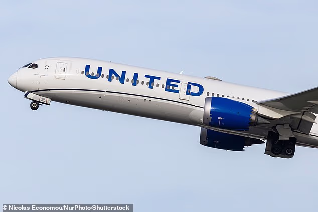 A United Airlines stewardess was 10 times the legal limit to fly after downing vodka on a transatlantic jet, a court heard (file image)