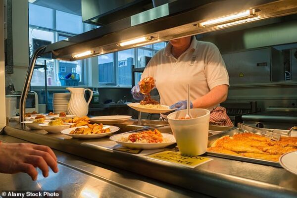 Highland Council has drawn up an action plan in a bid to prevent school meals ending up in the bin