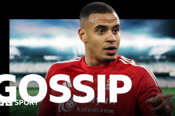 Mirror sports section