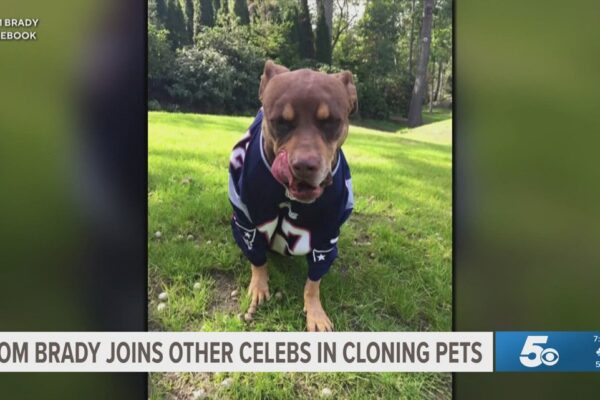 Daily Brew | Tom Brady joins other celebrities in cloning pets