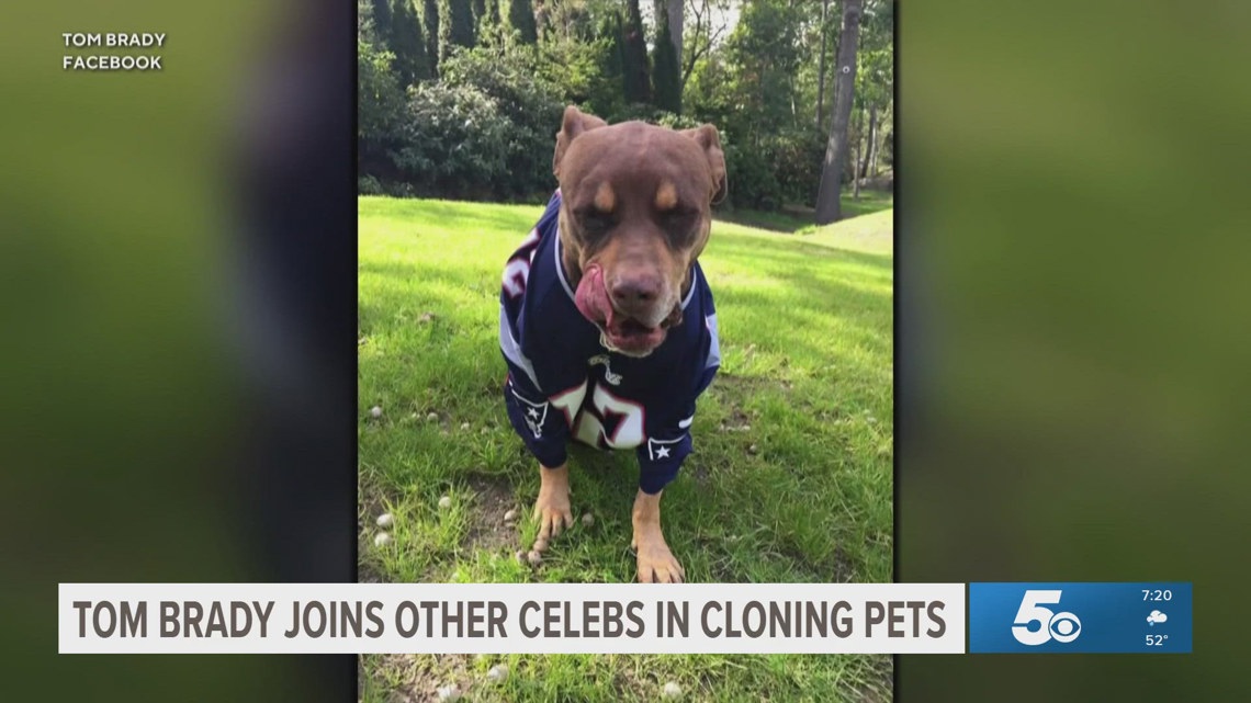 Daily Brew | Tom Brady joins other celebrities in cloning pets