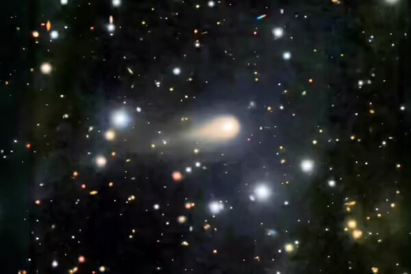 Elon Musk and Joe Rogan talk about alien object 3I/ATLAS aiming at Earth that Harvard scientist say is 'not natural', and the link to The Tunguska Event