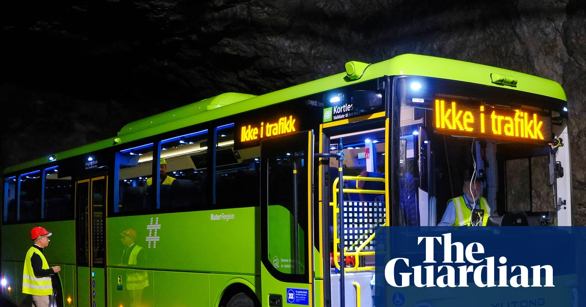UK transport and cyber-security chiefs investigate Chinese-made buses | Transport