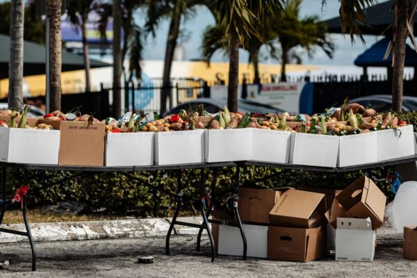 The Real Test for Democrats