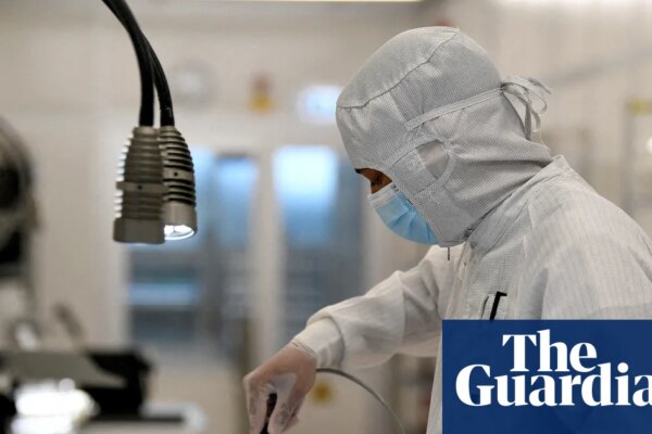 Nexperia row shows how China is weaponising trade – and winning | Global economy