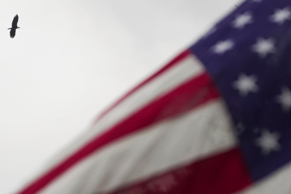 Veterans Day: What's open, what's closed