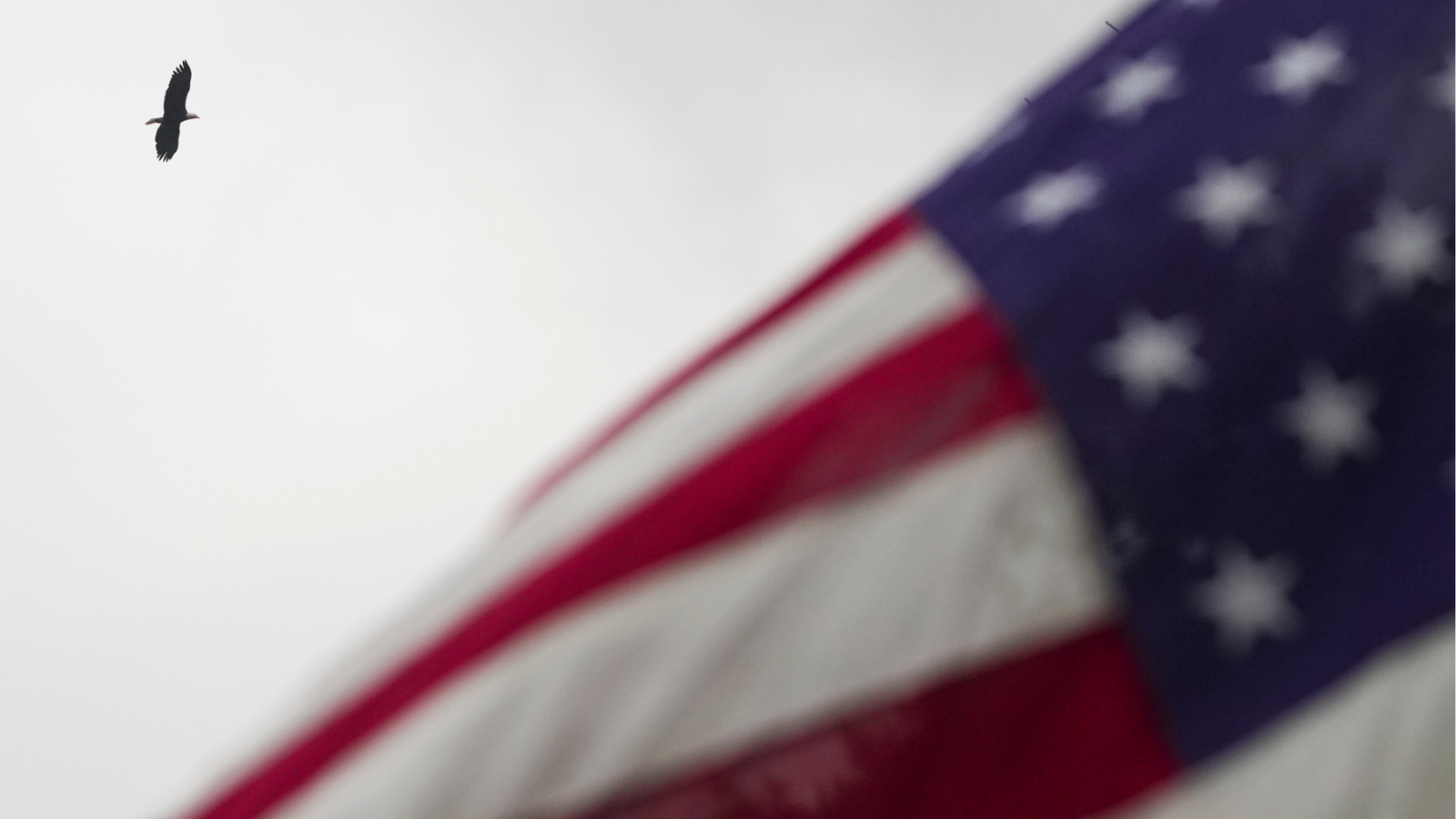 Veterans Day: What's open, what's closed