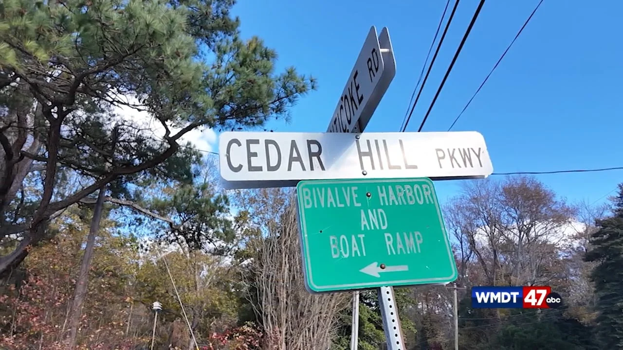 Wicomico County's Long-Awaited Verizon Cell Tower Now Active