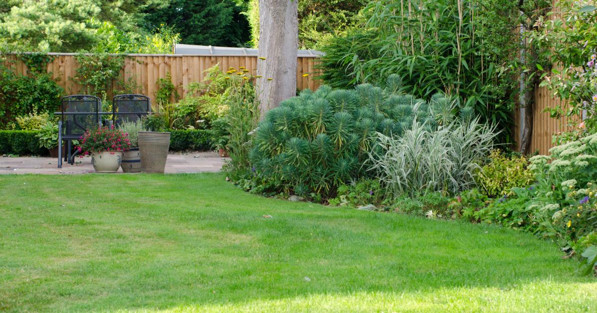 People urged to clear fallen leaves to keep grass healthy