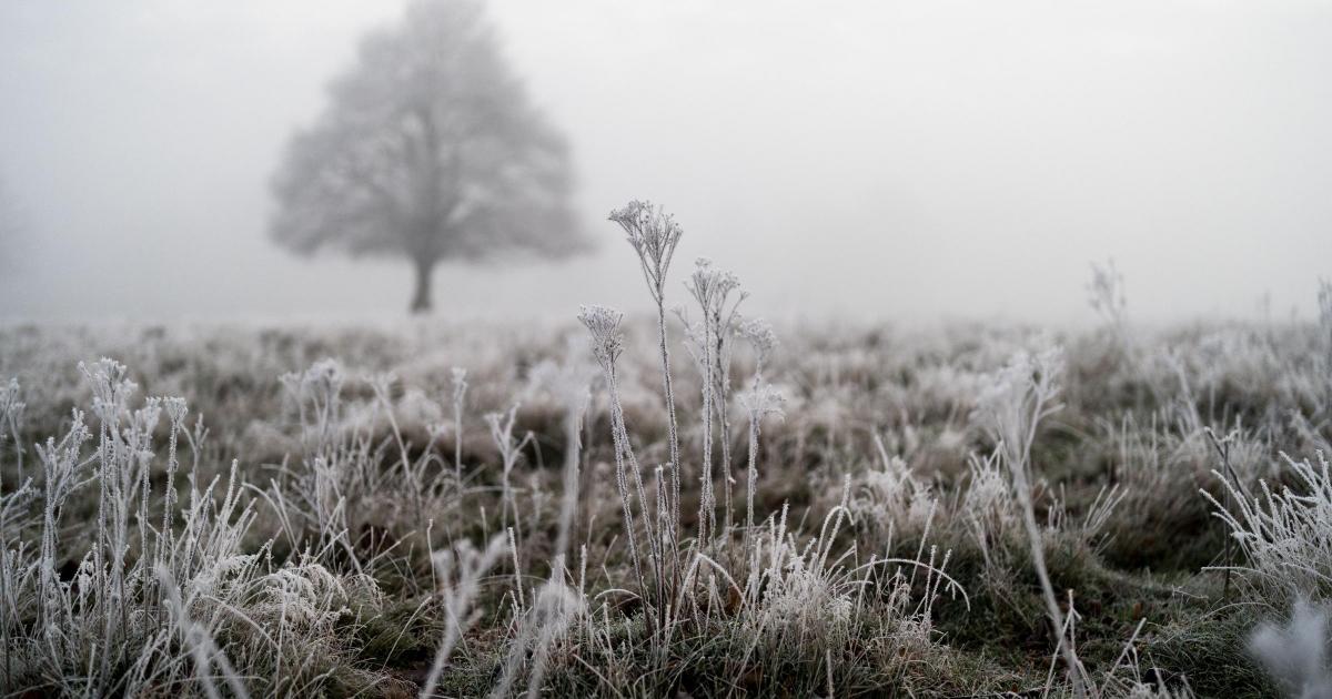 Cold weather warning in force with snow and ice ahead