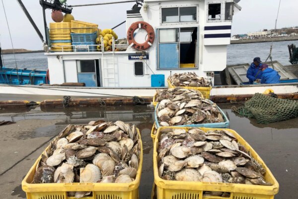 Japan resumes seafood exports to China after ban over Fukushima wastewater | Fukushima News