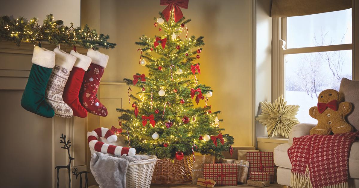 Cheapest Christmas trees at Aldi, Tesco and Home Bargains
