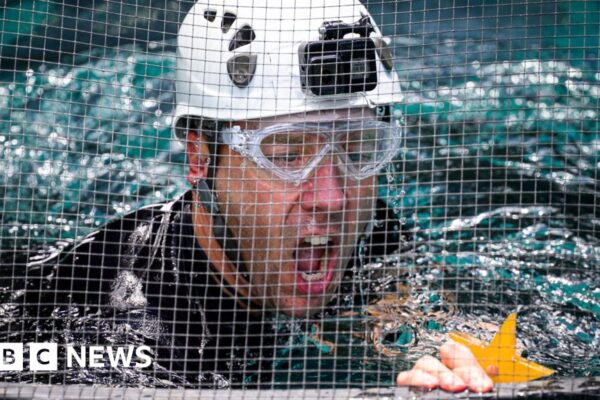 I'm A Celebrity changes rules for bushtucker trials