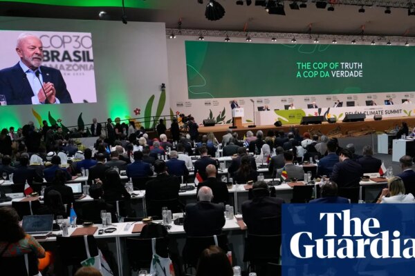 Who are the major players at Cop30 and what do they want? | Cop30