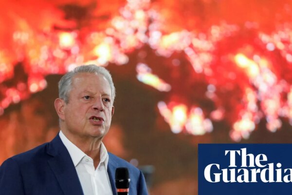 Al Gore wonders if ‘bullying’ Trump prompted Bill Gates to backtrack on climate | Al Gore