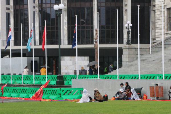 Crowd gathers outside Parliament ahead of visit by China's Zhao Leji