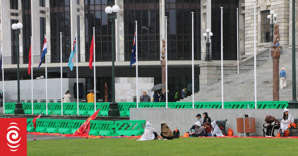 Crowd gathers outside Parliament ahead of visit by China's Zhao Leji