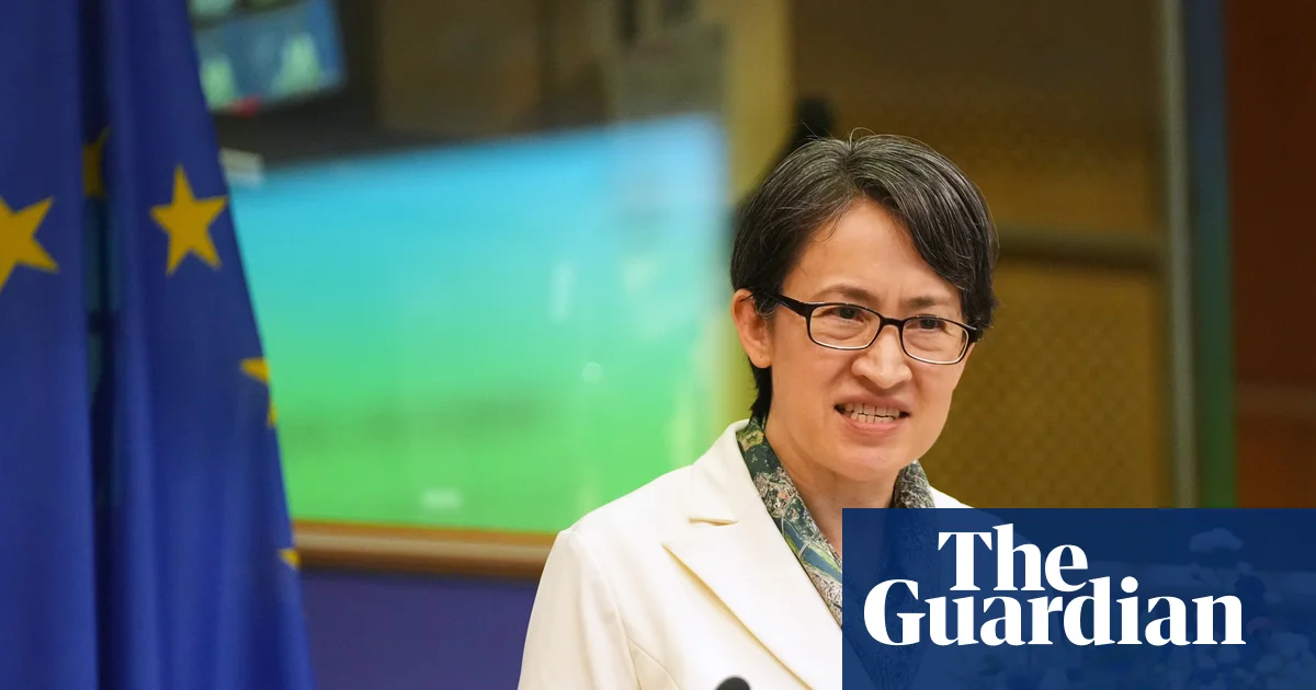 Taiwan vice-president presses case at EU parliament for joint efforts to counter China | Taiwan