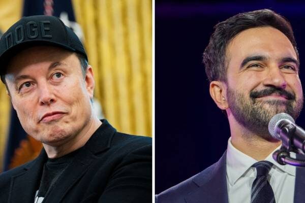 Elon Musk warns Mamdani policies and ‘low’ universal income would trigger ‘catastrophic decline’ in US living standards