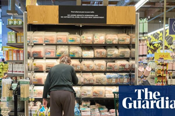 US consumer sentiment drops to near record low as shutdown persists | US economy