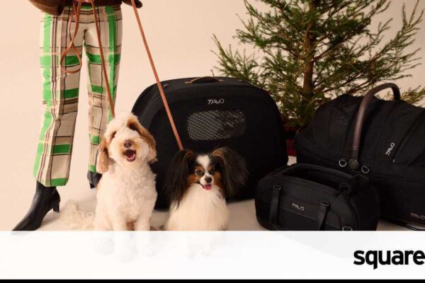 Tavo Pets’ new gifts for safer, stylish pet travel