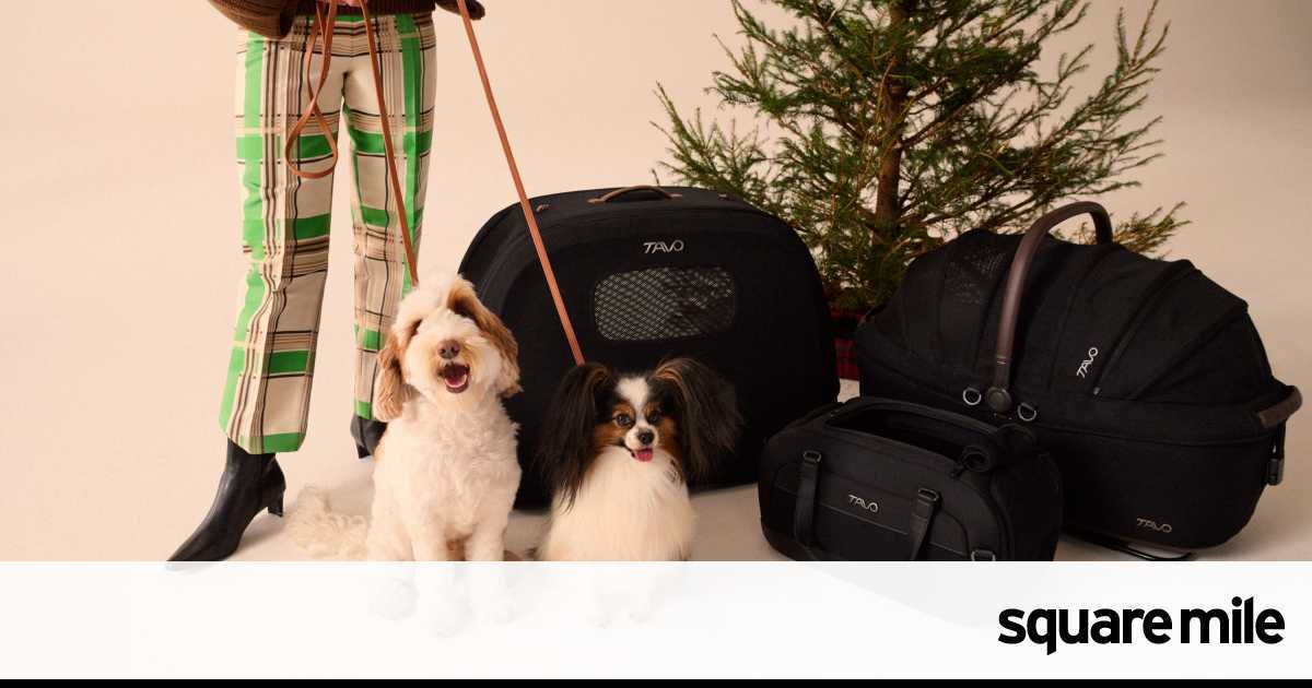 Tavo Pets’ new gifts for safer, stylish pet travel