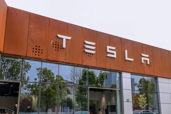 Tesla's newest model sees stunning sales numbers in major market: 'Should not be surprised'